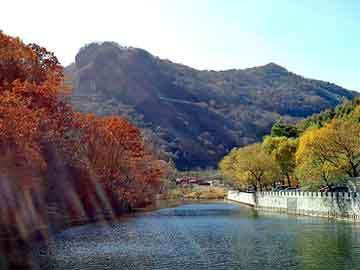 新澳天天开奖资料大全旅游团，败笔论坛